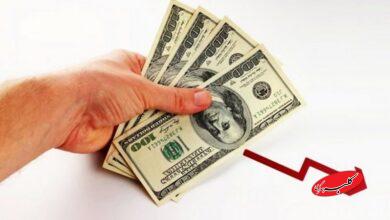 قیمت دلار، یورو و سایر ارزها امروز ۴ آذر/ دلار یک کانال سقوط کرد