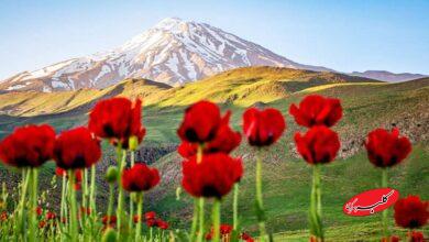 دردناکترین تصویر زمستانی از قله دماوند منتشر شد+ عکس