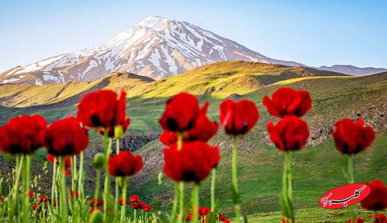 دردناکترین تصویر زمستانی از قله دماوند منتشر شد+ عکس