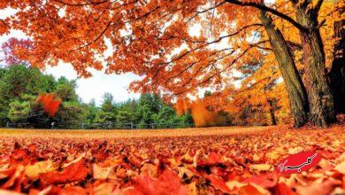 هشدار هواشناسی درباره ورود موج پیاپی سامانهها؛ آغاز بارشها از امشب