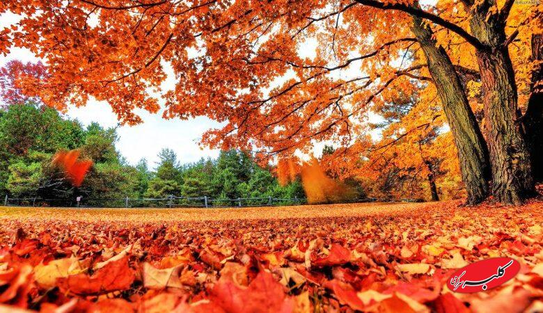 هشدار هواشناسی درباره ورود موج پیاپی سامانهها؛ آغاز بارشها از امشب