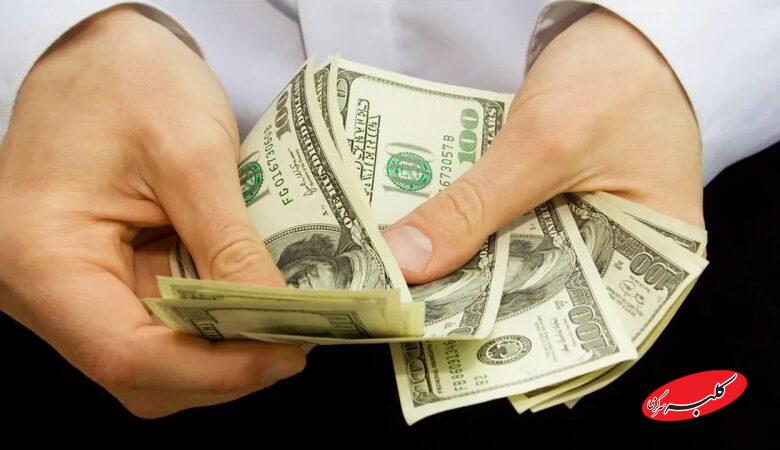 قیمت احتمالی دلار در ماه‌های آینده مشخص شد/ نرخ واقعی سکه چه عددی است؟