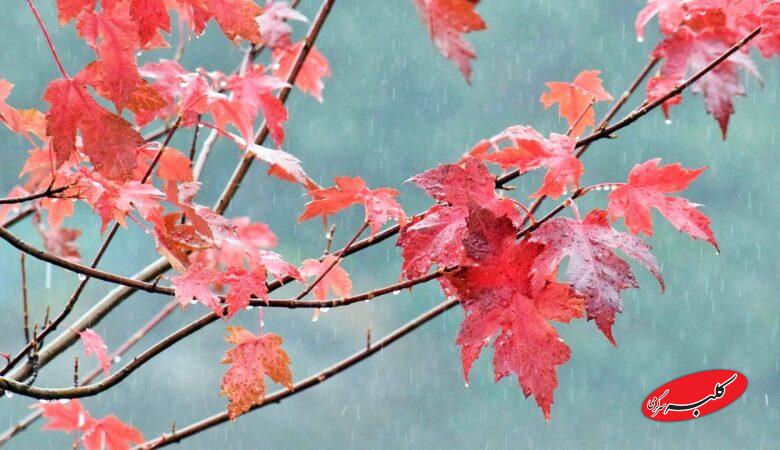 خبر بد هواشناسی برای تهرانی‌ها / زمان رسمی آغاز بارش‌های زمستانی اعلام شد