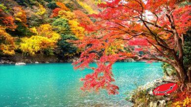 زمان آغاز بارشهای قدرتمند پاییز مشخص شد/ این بارشها، کسری آب را جبران میکند؟