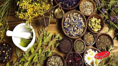 ۸۳ درصد مردم از طب سنتی استفاده می‌کنند