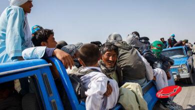 قاچاق اتباع افغان جاده‌ها و مسافران را تهدید می‌کند