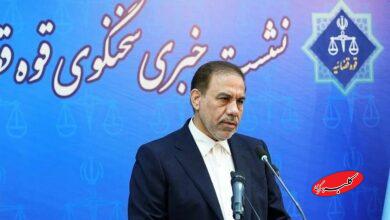 شبنم نعمت‌زاده به زندان بازگشت؟