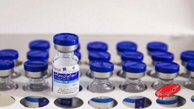 نتایج وحشتناک یک نظرسنجی درباره واکسن کرونا؛ «فایزر» چه بلایی سر آمریکاییها آورد