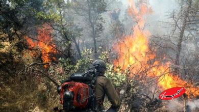 ویدیویی تکان‌دهنده از آتش‌سوزی جنگل‌های گلستان