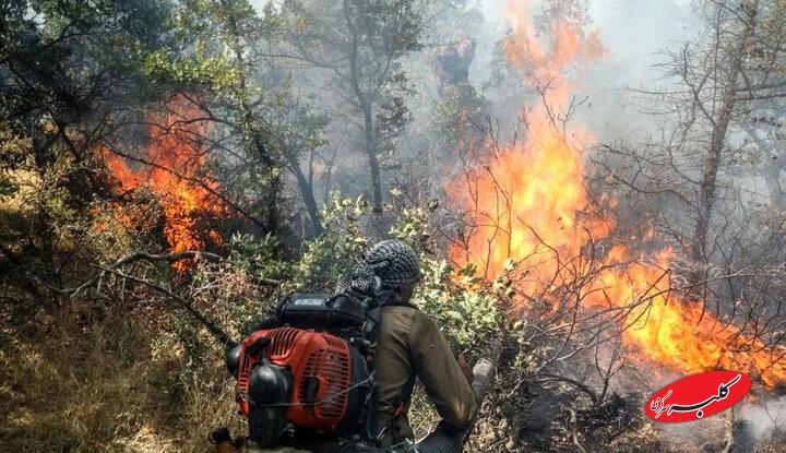 ویدیویی تکان‌دهنده از آتش‌سوزی جنگل‌های گلستان