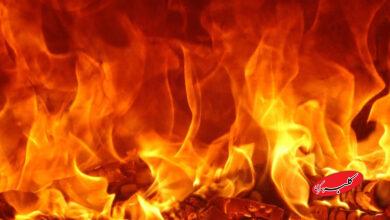 وضعیت آتشسوزی جنگلهای الیت را از آسمان ببینید +ویدیو