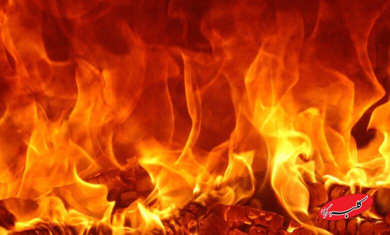 وضعیت آتشسوزی جنگلهای الیت را از آسمان ببینید +ویدیو