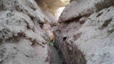 قنات تاریخی نبادان رو به نابودی است؛ فریاد سرو کهنسال را بشنوید!