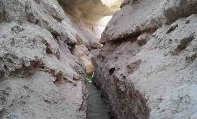 قنات تاریخی نبادان رو به نابودی است؛ فریاد سرو کهنسال را بشنوید!