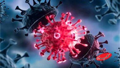 خبر بد: کرونا با سویههای جدید بازگشت!