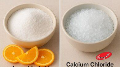 کلرید کلسیم و اسید اسکوربیک: راهکارهایی برای صنعت غذایی مدرن