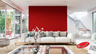 خطر این رنگ‌ها برای سیستم عصبی؛ محیط خانه را پاکسازی کنید!