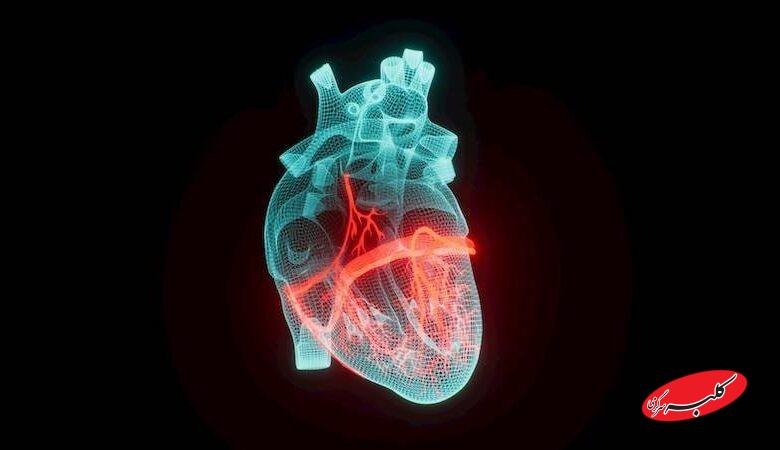 تحقیقات جدید دانشگاه ویرجینیا: این ۲ ویتامین مانع سکته قلبی میشود