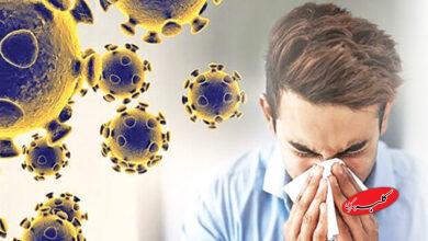 زنگ خطر در مشهد به صدا درآمد/ موج جدید آنفلوآنزا آغاز شد