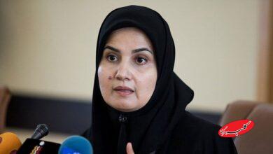 معاون روحانی: اگر این دو لایحه تصویب می‌شد، بسیاری از مشکلات را نداشتیم