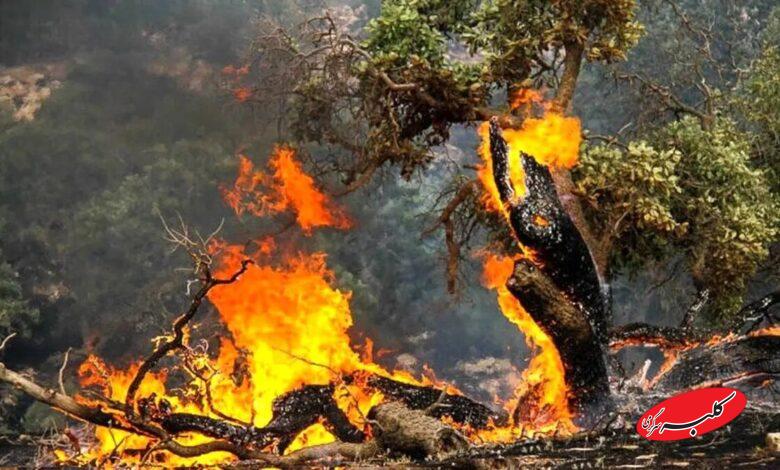 اعزام سه بالگرد برای مهار آتش‌سوزی؛ وضعیت جنگل‌های شمال خطرناک است