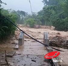 ویدیو| سیلاب مهیب پل معلق ویتنام را در چند ثانیه نابود کرد!