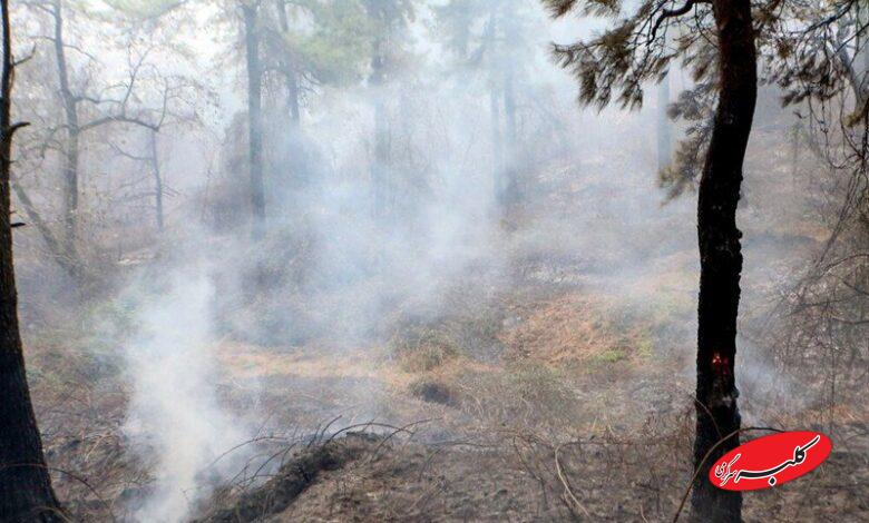 تداوم آتش‌سوزی‌های جنگلی؛ مدعی العموم کجاست؟