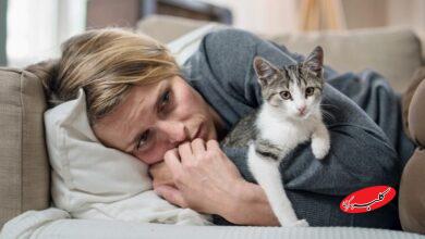 گربه خانگی چه بلایی به سر یک خانواده میآورد؟