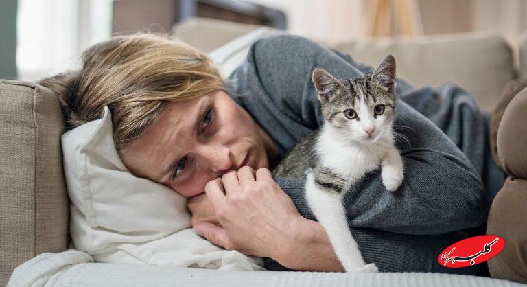 گربه خانگی چه بلایی به سر یک خانواده می‌آورد؟