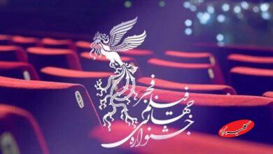 شور جشنواره جهانی فیلم فجر در شیراز بالا گرفت