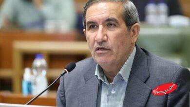 ناصر امانی، عضو شورای شهر تهران