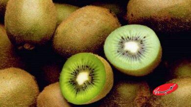 میوه‌ای برای بهبود یبوست