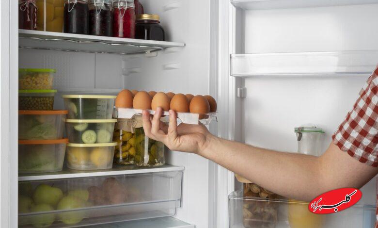 گذاشتن غذا در یخچال - تخم مرغ