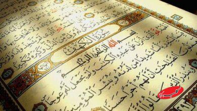 بهروزرسانی سامانه مؤسسات سازمان دارالقرآن