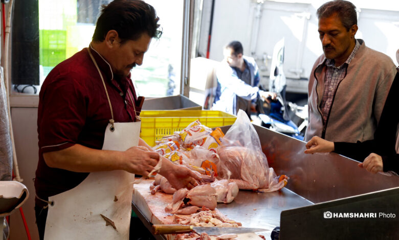 بازار مرغ و گوشت در انبار نفت