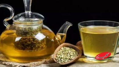 چای رازیانه