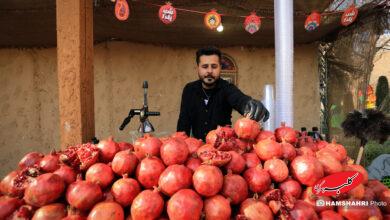 افتتاح گذر یلدایی در پارک لاله