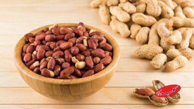 بادام زمینی