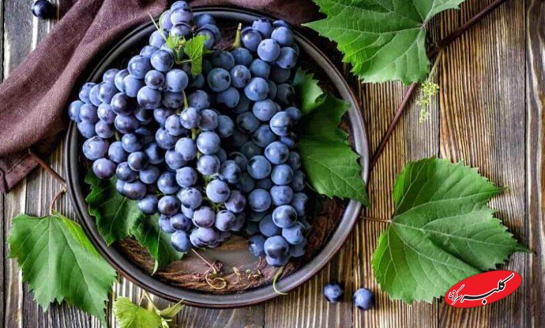 انگور سیاه