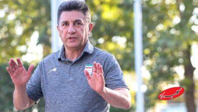 امیر قلعهنویی