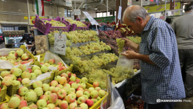 تور بازدید سرزده از بازارهای تره بار به همراه مدیر عامل سازمان میوه و تره بار