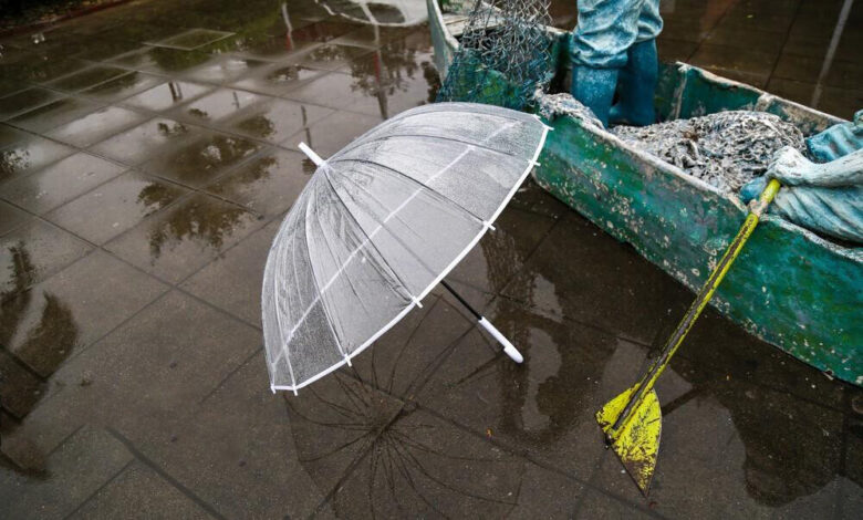 بارش باران در رشت