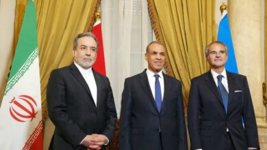 عراقچی گروسی در مصر