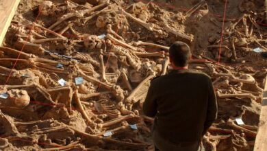 تاریخ در برابر تکنولوژ