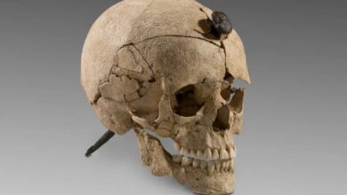 جمجمه‌‌های میخ‌‌کوب‌ شده