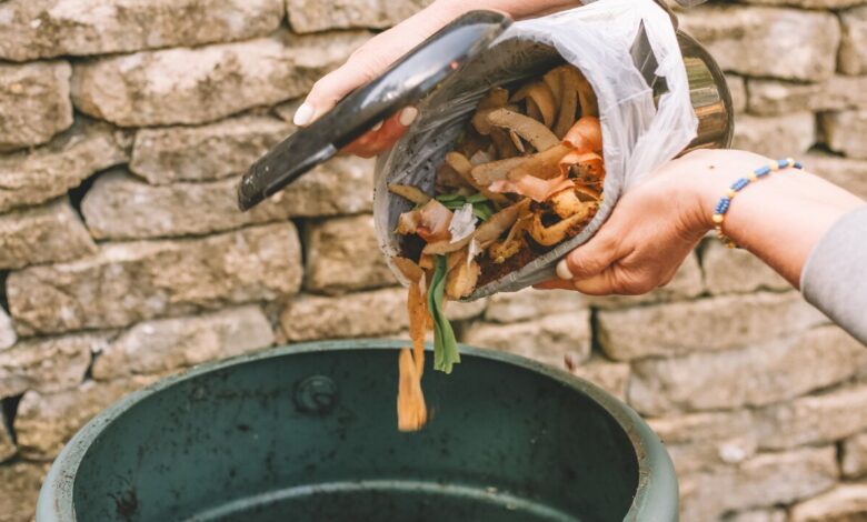 سوخت جدید برای هواپیما