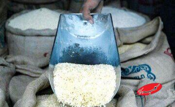 قیمت برنج رسما اعلام شد/ کنگری: بالاتر از این قیمت برنج نخرید