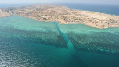 جزیره خارگو