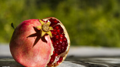 طبع انار گرمه یا سرد