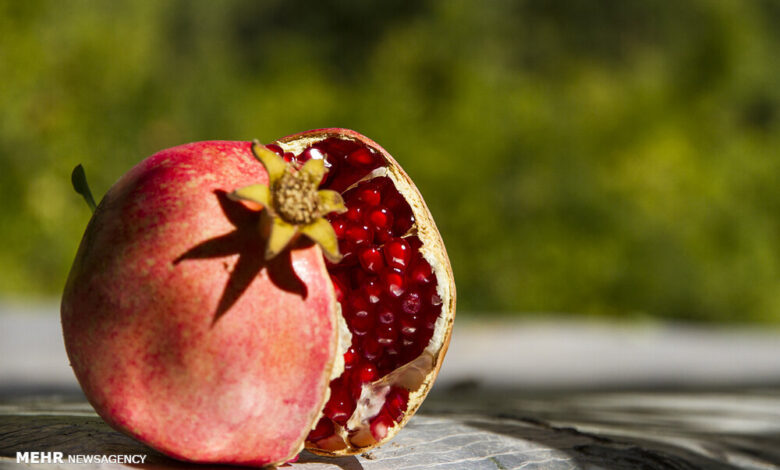 طبع انار گرمه یا سرد